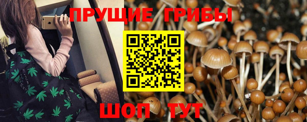 Галлюциногенные грибы Magic Shrooms Губаха