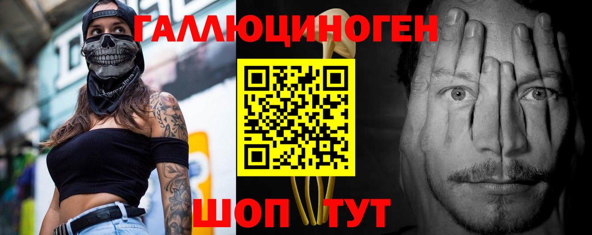 Губаха  Галлюциногенные грибы прущие грибы  Псилоцибиновые грибы ЛСД  Вход с VPN 