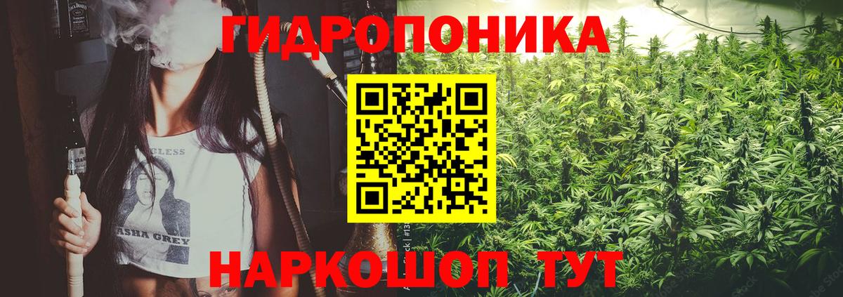 Канабис гибрид  Вход с VPN  МАРИХУАНА Bruce Banner  Каннабис SATIVA & INDICA  Бошки Шишки LSD WEED  Губаха 