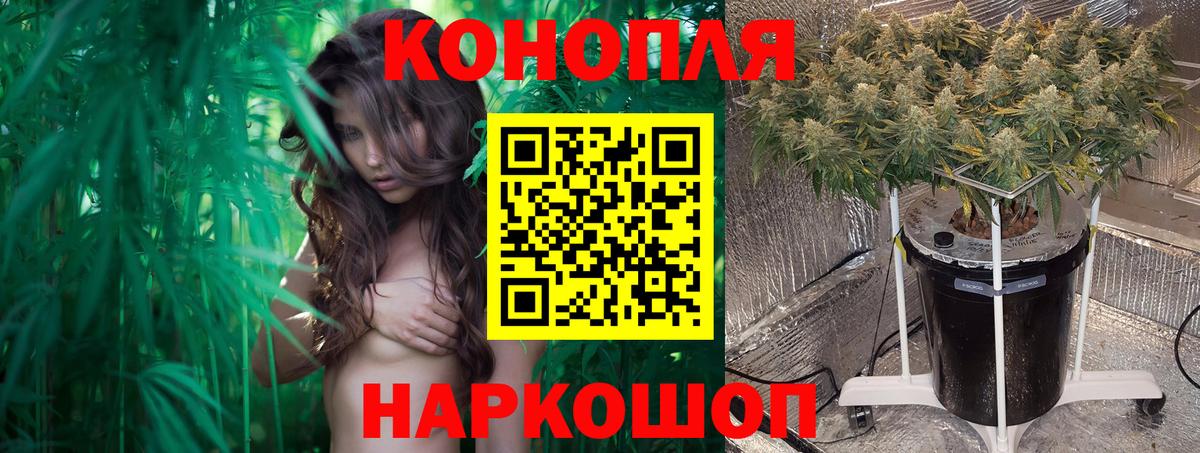 Конопля Amnesia Губаха